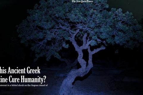 «New York Times» Το φάρμακο του μέλλοντος η μαστίχα